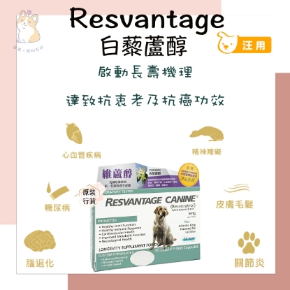 Picture of RESVANTAGER Canine Longevity Supplement for Dog 30 Capsules