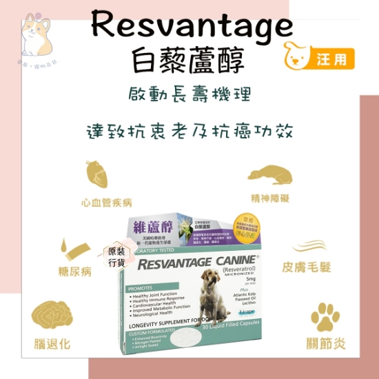 圖片 RESVANTAGER 狗狗維蘆醇白藜蘆醇 30粒 #抗衰老抗癌
