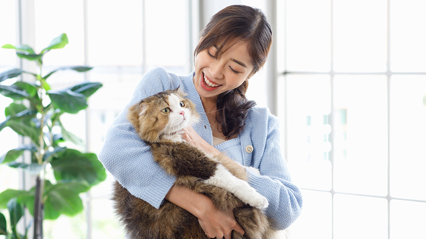 圖片 養貓一個月花費幾多錢?貓糧| 貓驗身| 貓玩具| 詳細養貓開支清單