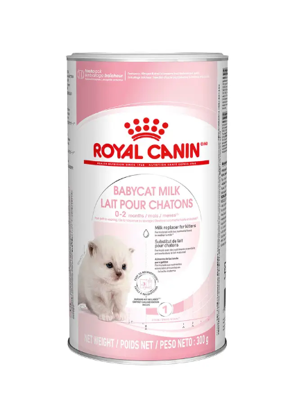 圖片 Royal Canin 初生貓營養奶粉300克