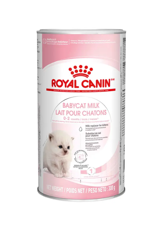 Picture of Royal Canin Baby Cat Milk 300G