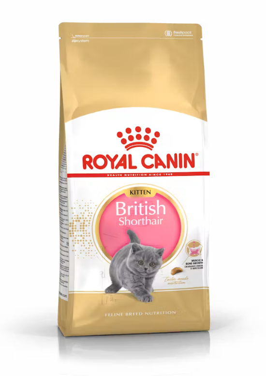 Picture of Royal Canin British Shorthair Kitten 2KG