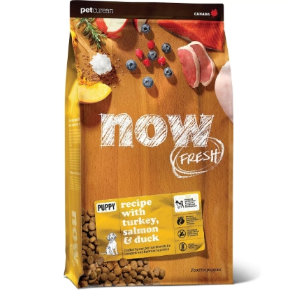 Picture of Now Fresh Grain Free Puppy Dog Food - Turkey, Salmon & Duck 3.5lb