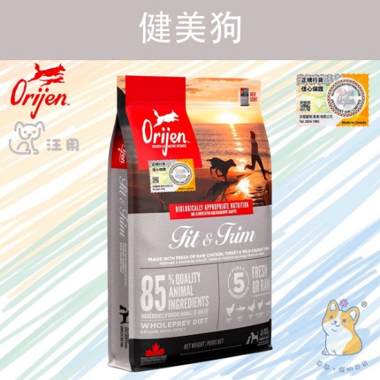 圖片 渴望 健美全犬