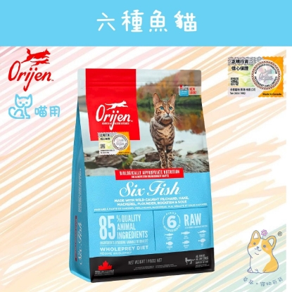 Picture of Orijen 6 Fish Cat 5.4kg