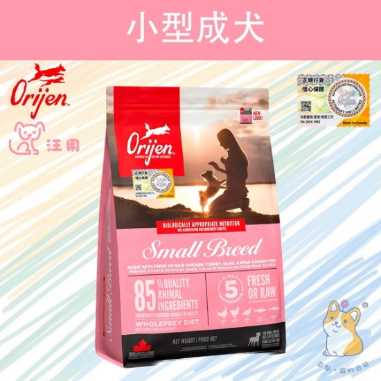 圖片 渴望 小型成犬