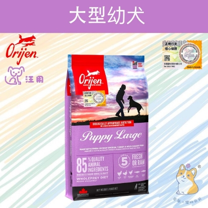 圖片 渴望11.4kg 大型幼犬配方狗糧