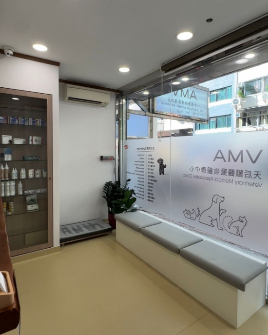 Picture of Veterinary medical assocation clinic - Cat and Dog Health Check Package