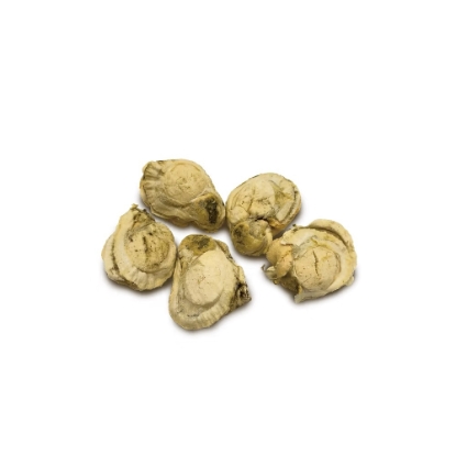 Picture of CAT DOG KING Scallop Freeze Dried Snack  14g CDK2038