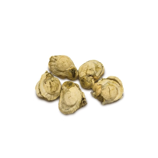 Picture of CAT DOG KING Scallop Freeze Dried Snack  14g CDK2038