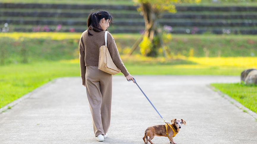 圖片 【新界區寵物友善商場2025】狗狗友善商場| 特色設施| 進入商場規定