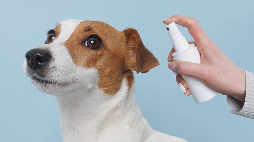 圖片 寵物神仙水是什麼？功效、成分、安全性及選購指南