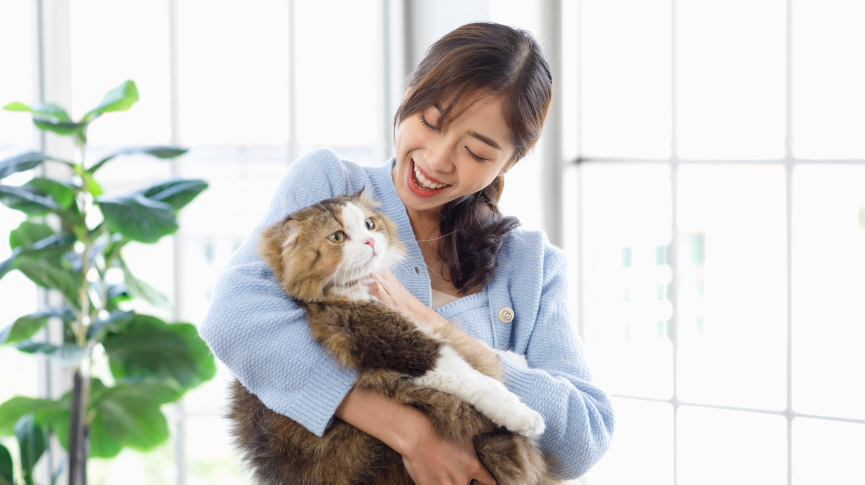 Picture of [Pet Boarding] Pet Hotel vs. Pet Sittor: Which is more suitable for your furry friend?