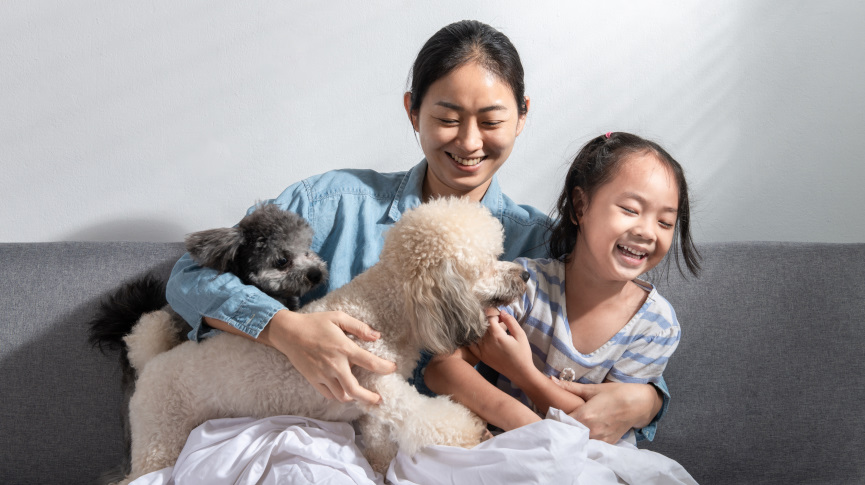 圖片 【寵物領養知多D】香港狗領養指南：條件與注意事項