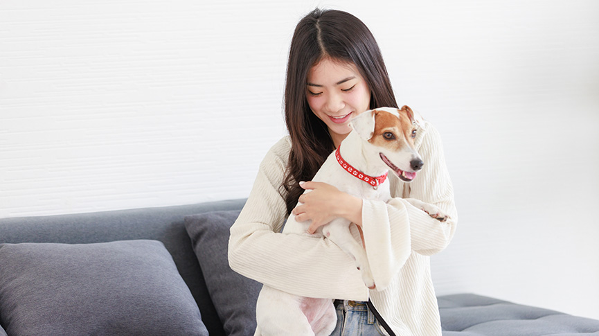 圖片 11種常見狗疾病：拆解狗狗病症初期徵兆、死亡率及預防檢查