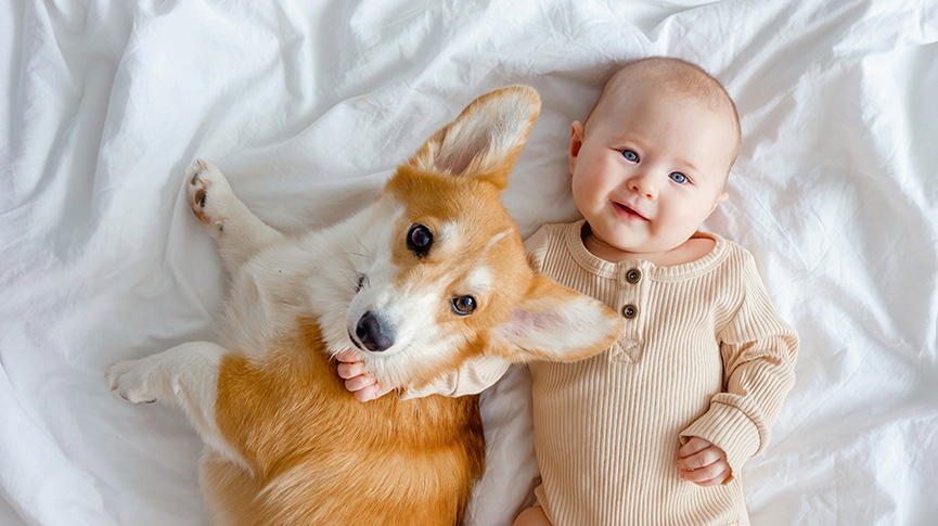 圖片 【有BB還能養寵物嗎？】嬰兒與毛孩共住安全| 衛生| 建立情感全攻略