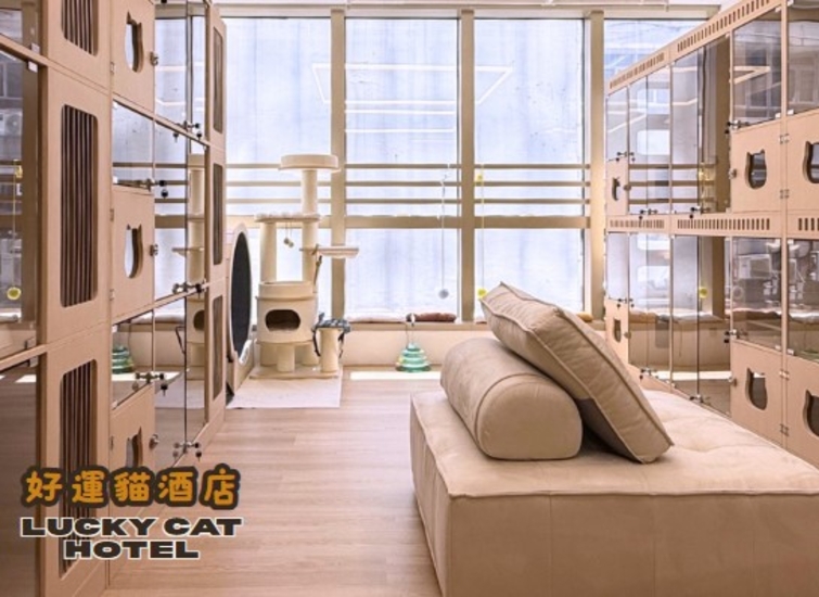 圖片 Lucky Cat Hotel 好運貓酒店 | 觀塘區
