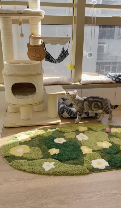 圖片 Lucky Cat Hotel 好運貓酒店 | 觀塘區