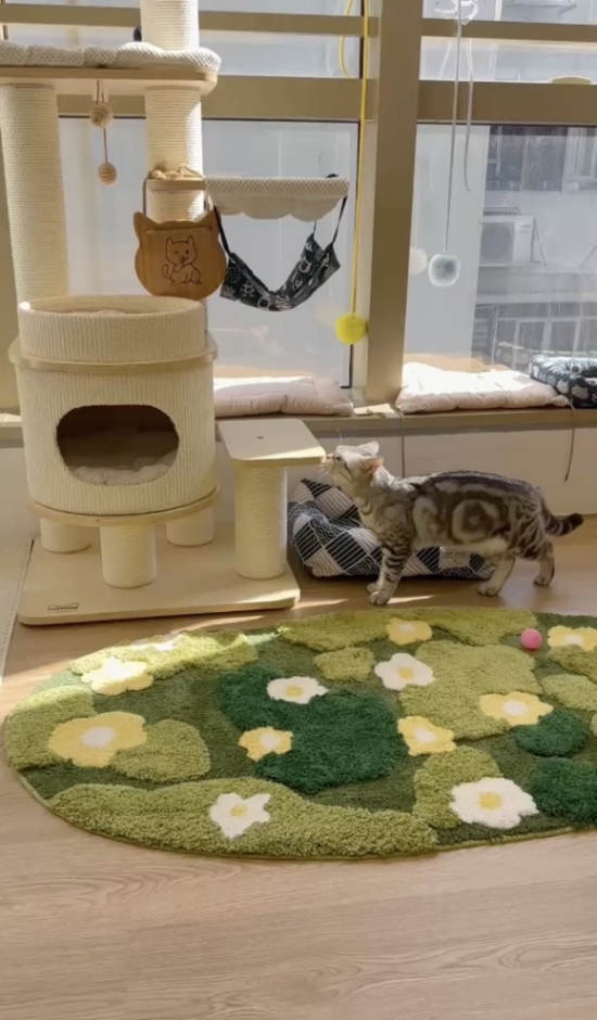 圖片 Lucky Cat Hotel 好運貓酒店 | 觀塘區