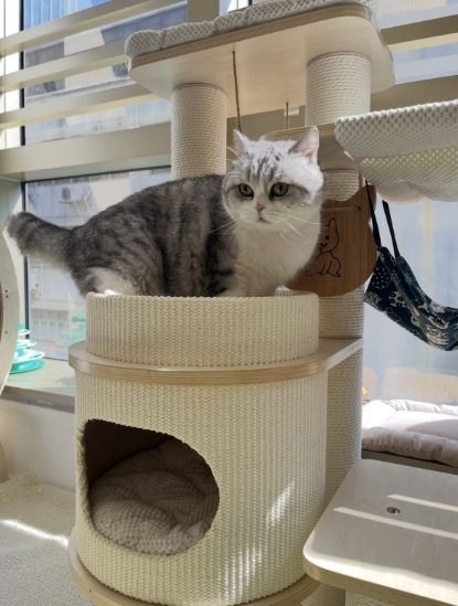 Picture of Lucky Cat Hotel | Kwun Tong District