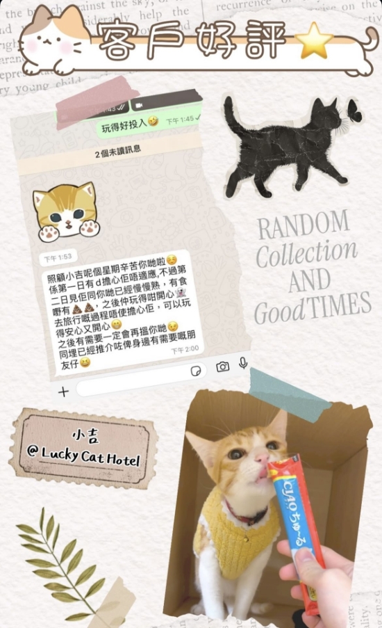 圖片 Lucky Cat Hotel 好運貓酒店 | 觀塘區