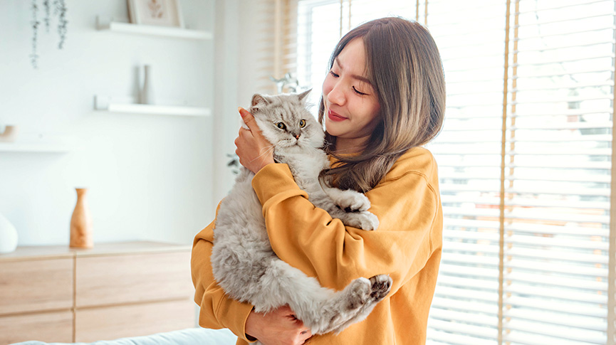圖片 【貓品種大全】10大熱門貓種類特徵| 飼養重點與壽命比較