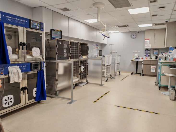 Picture of CityU VMC Premier PetPlan