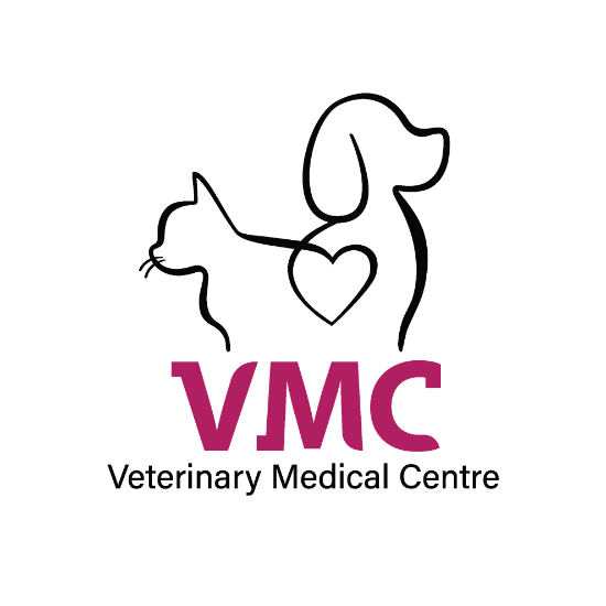 Picture of CityU VMC Senior Cat Wellness Programme