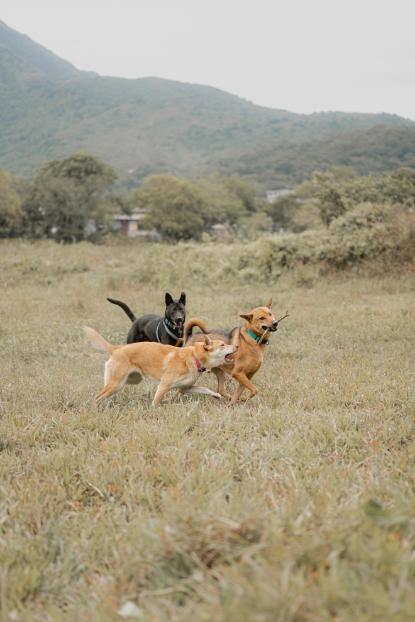 圖片 Awwwmoments 大嶼山戶外攝影套餐