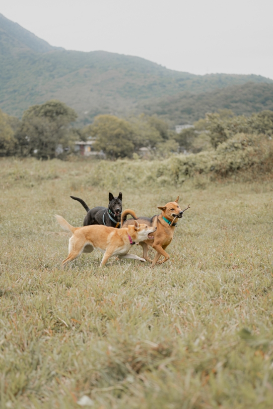 圖片 Awwwmoments 大嶼山戶外攝影套餐