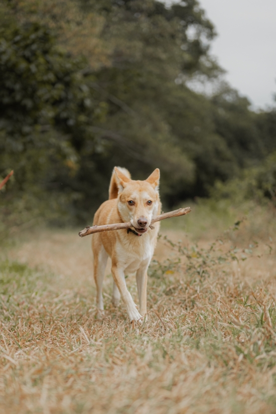 圖片 Awwwmoments 大嶼山戶外攝影套餐