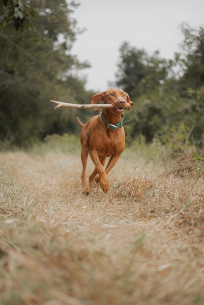 圖片 Awwwmoments 大嶼山戶外攝影套餐