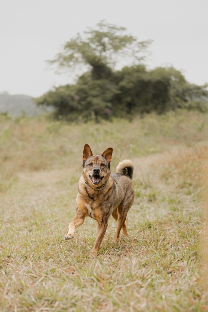 圖片 Awwwmoments 大嶼山戶外攝影套餐