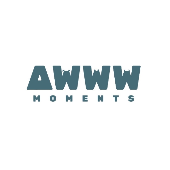 圖片 Awwwmoments 大嶼山戶外攝影套餐