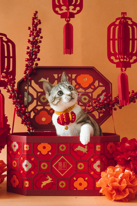 Picture of Awwwmoments Chinese New Year Photo Session