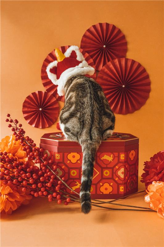 Picture of Awwwmoments Chinese New Year Photo Session