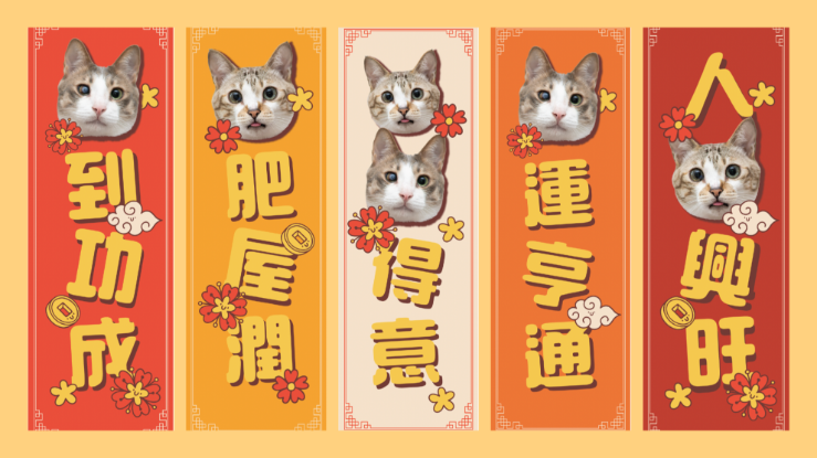 圖片 Awwwmoments 新年拍攝套餐