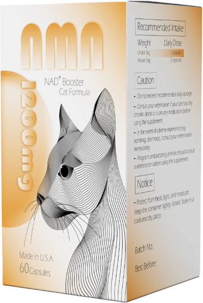 圖片 忌廉哥x DR.METRICS NMN 貓貓配⽅ 60粒裝