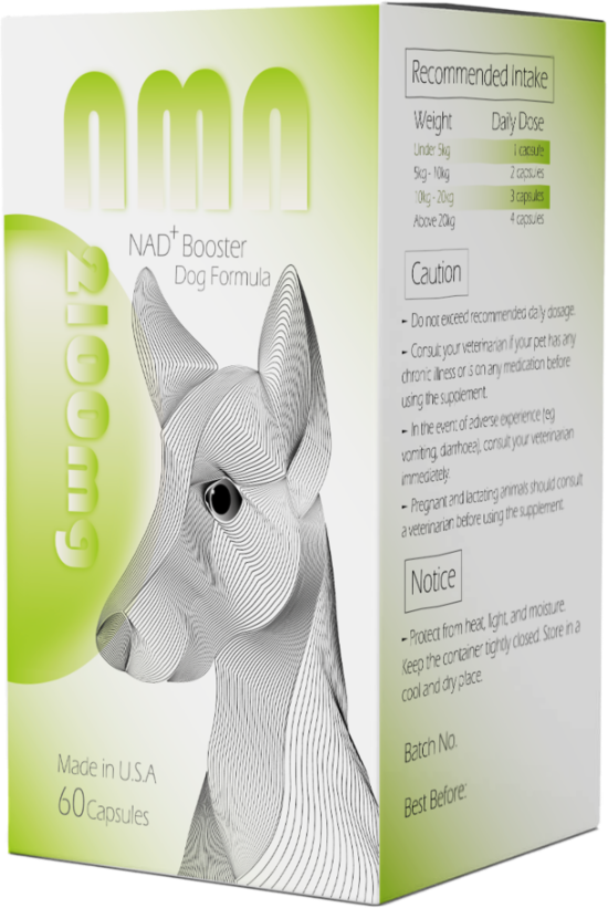 圖片 NMN 狗狗配⽅ 60粒裝