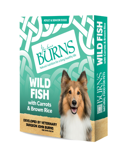 Picture of Burns Wet Food - Wild Fish 150g x 12 (Box Set)