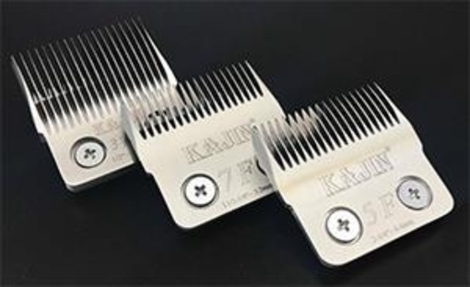 Picture of KAJIN BLADE (Silver) 4F / 5F / 7F / 10F 