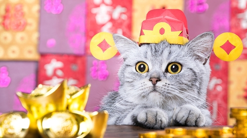 圖片 【2026新年好去處】寵物市集懶人包| 年宵市集＋馬年打卡位一覽