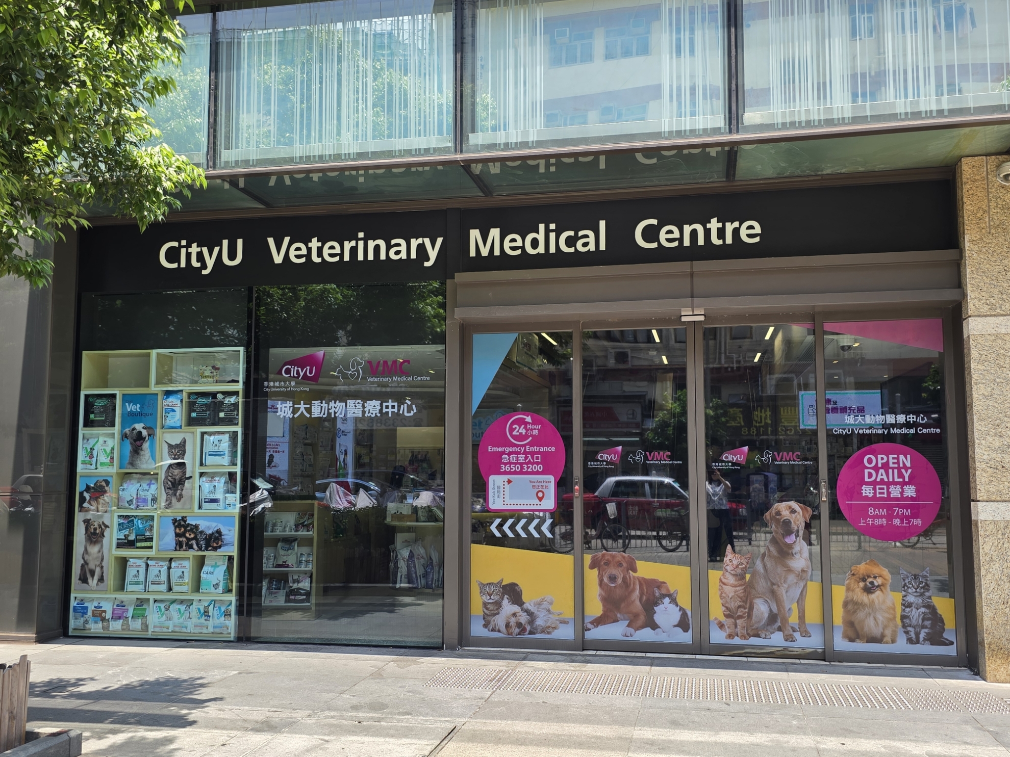 動物醫院-動物醫療學會醫院-城大動物醫療中心-CityUVMC-九龍區獸醫診所推介