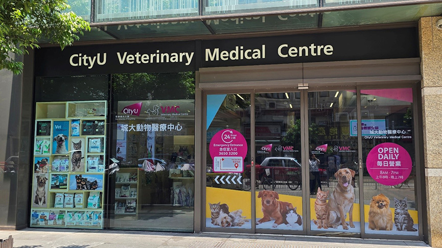圖片 【香港寵物醫院推薦】城大動物醫療中心 CityU VMC：全港最大、24小時急症與頂尖專科