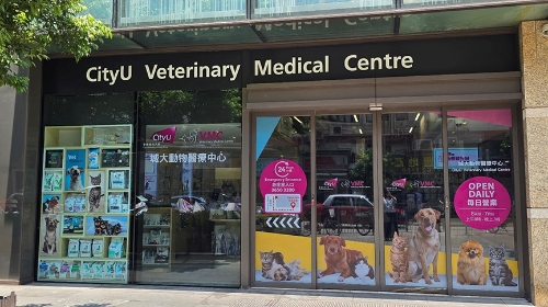 圖片 【香港寵物醫院推薦】城大動物醫療中心 CityU VMC：全港最大、24小時急症與頂尖專科