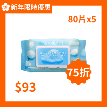 Honey Moments 5 包低敏柔軟濕紙巾(80片裝)