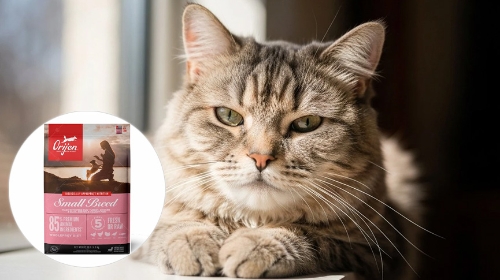 圖片 Orijen貓糧狗糧好唔好？渴望貓狗糧評價| 成分配方| 優缺點分析