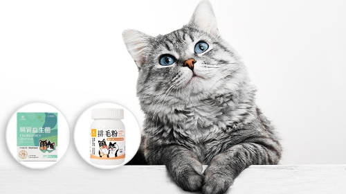 圖片 汪喵星球好唔好？益生菌、排毛粉、營養罐推薦| DogCatStar寵物保健懶人包