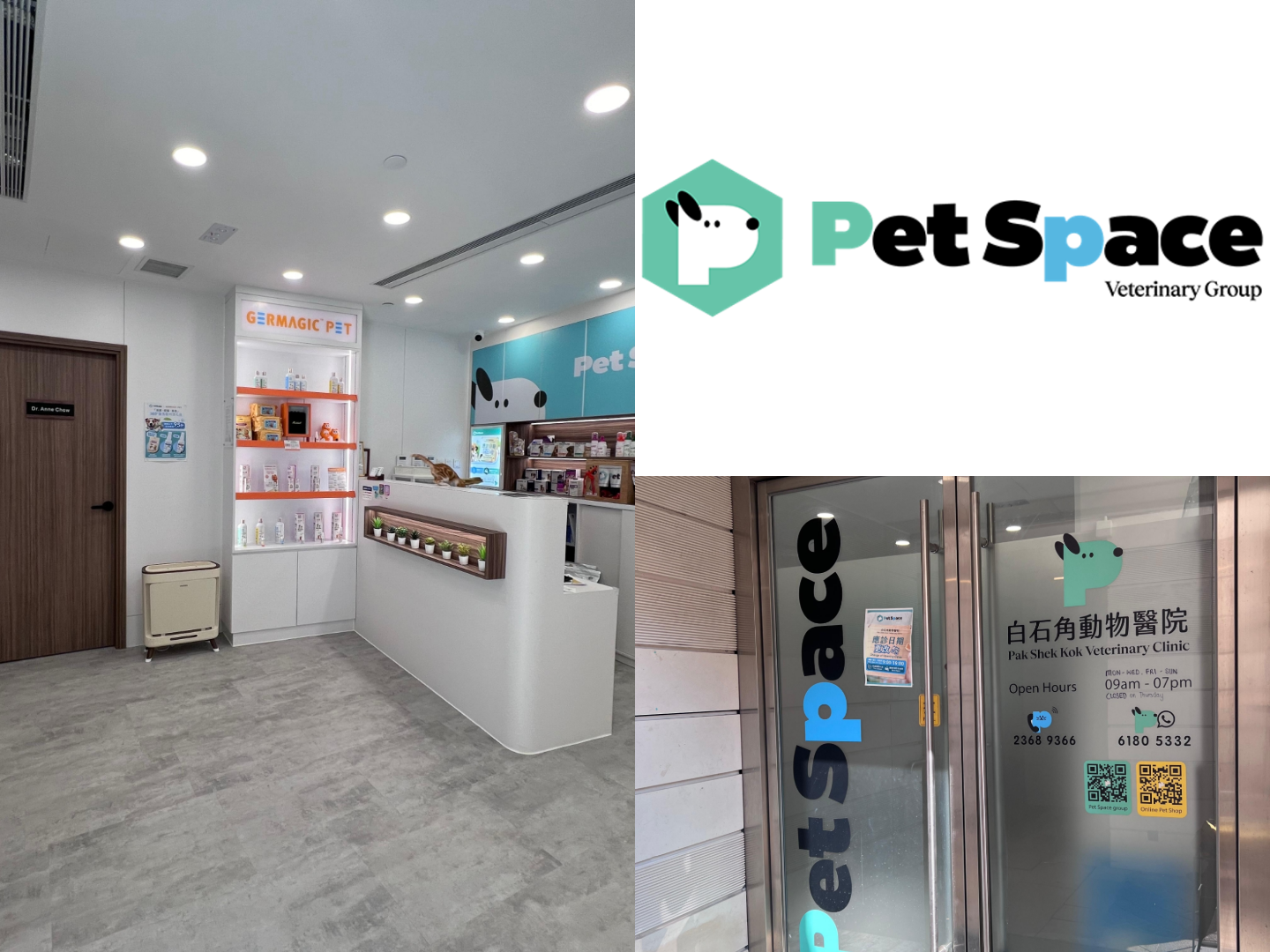 圖片 白石角動物醫院好唔好?團隊背景、服務評價及體檢計劃介紹