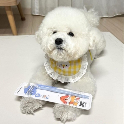 Picture of Dentipoint 5mm Ultra-small head Toothbrush for Pet  3PCS Set